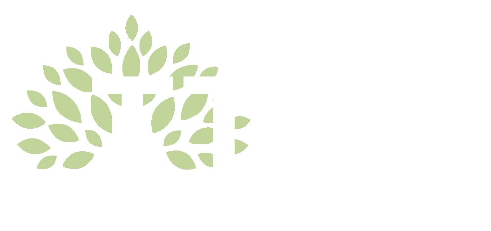 ТТСБ